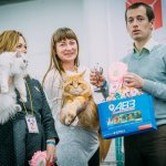 Выставка кошек Кубок Прикамья 25-26 ноября г.Пермь КЛК "Пума"